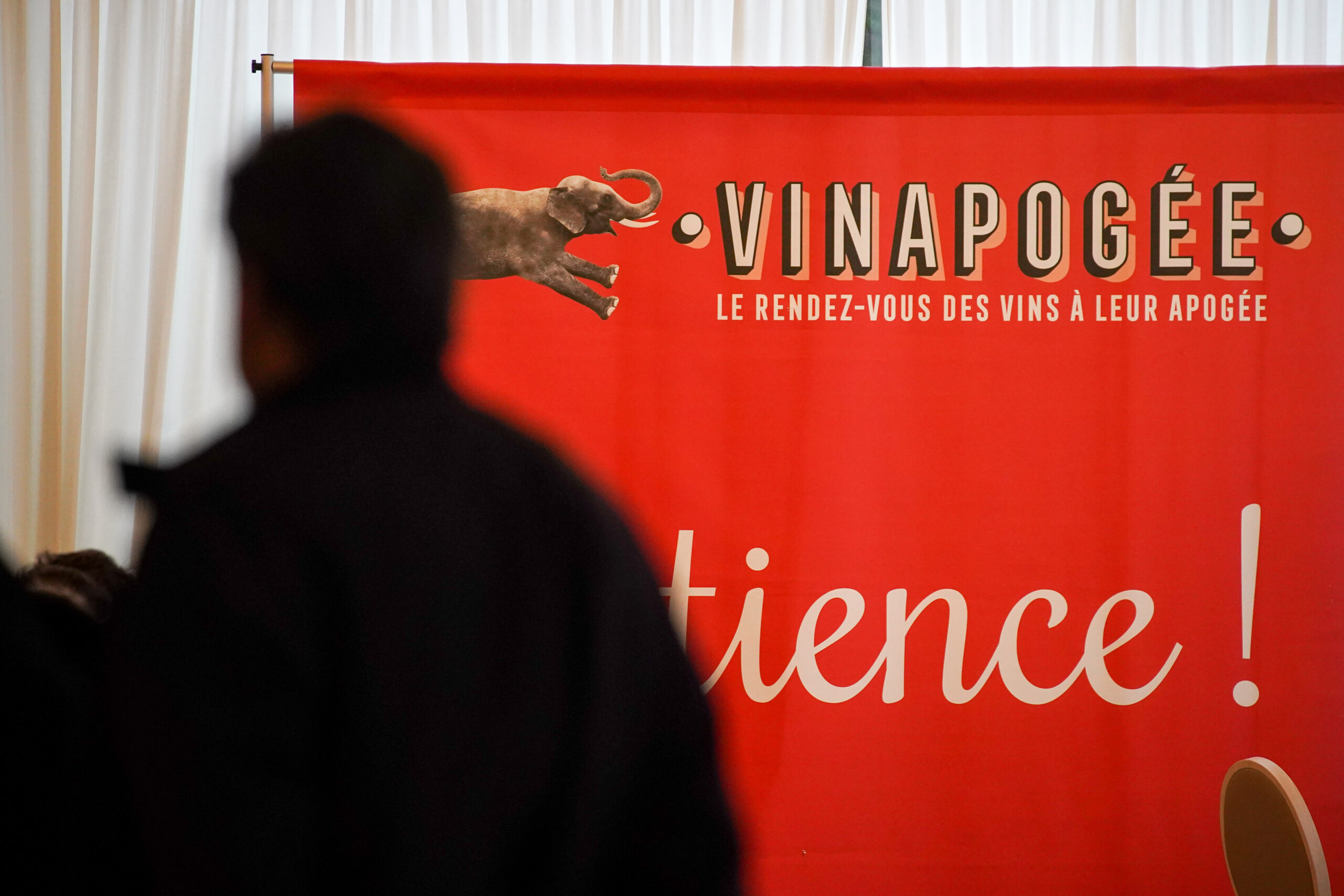 VINAPOGEE_2023-07252 copie